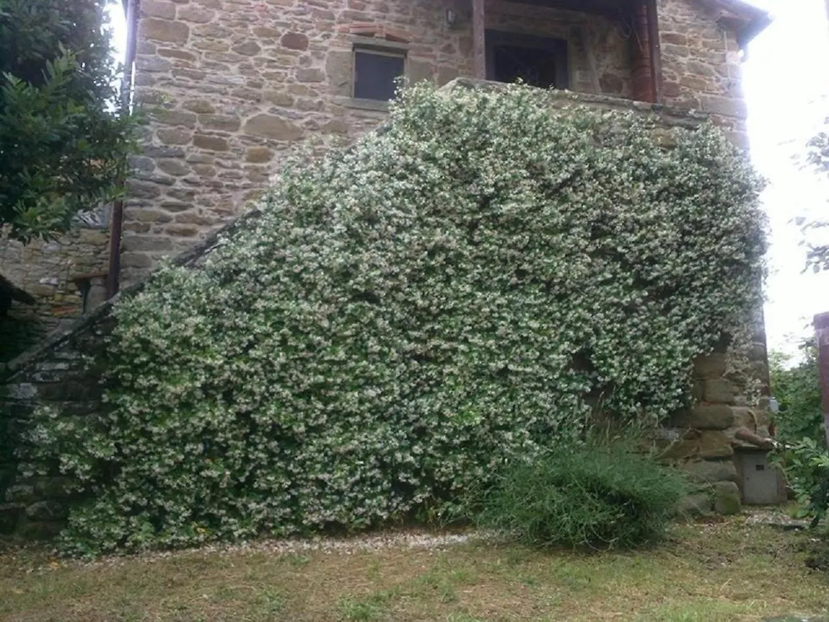 Holiday home La Cuccia - La Villa-San Pacrazio Ambra Italy