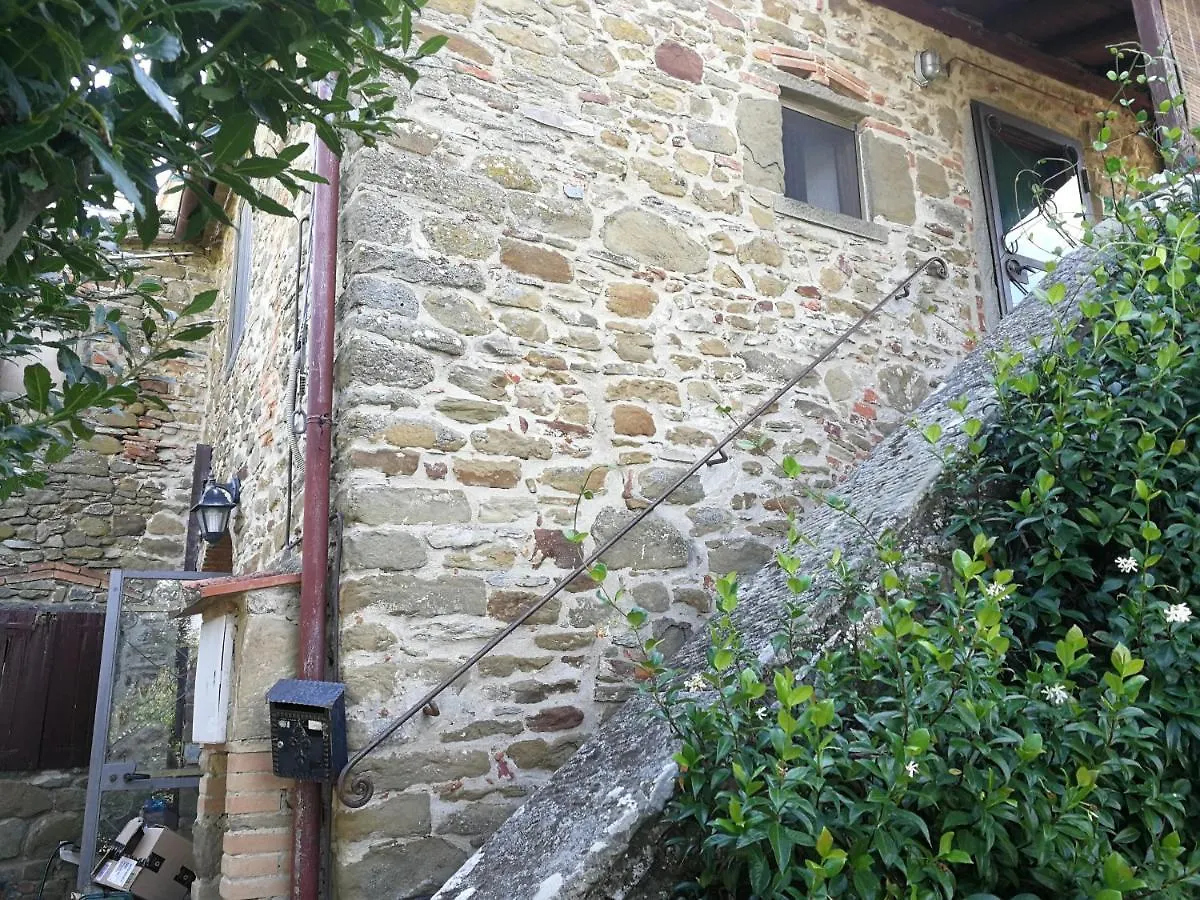 La Cuccia - La Villa-San Pacrazio Ambra 0*,